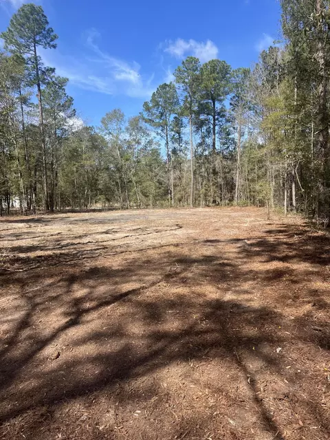 1969 Beach Rd, Walterboro, SC 29488