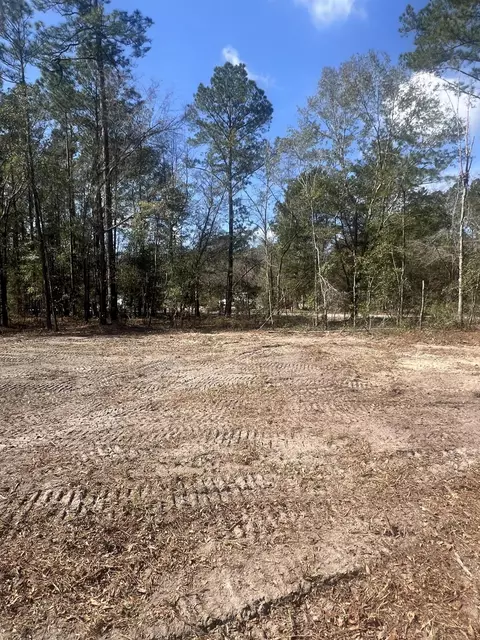 2009 Beach Rd, Walterboro, SC 29488
