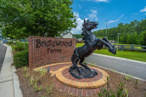1037 Bridlewood Farms Pkwy, Ridgeville, SC 29472