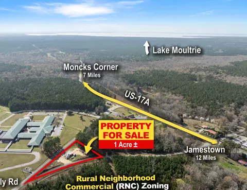 1042 Bethera Rd, Bonneau, SC 29431 photo 3