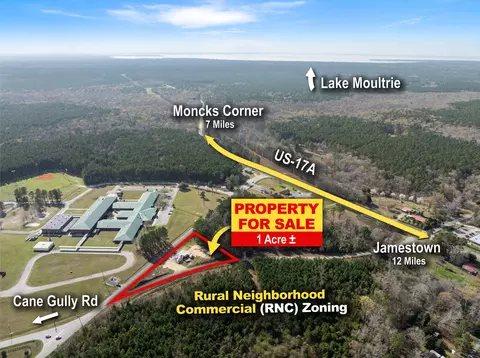 1042 Bethera Rd, Bonneau, SC 29431 photo 13