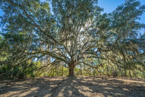 4129 Gnarled Oaks Ln, Johns Island, SC 29455