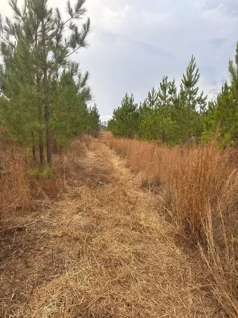 Qbf 12 Nurnberg Dr Road #QBF 12, Batesburg-leesville, SC 29070