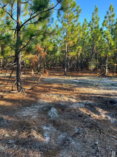 17 Payne Pond Road #PPF 17, Westville, SC 29175