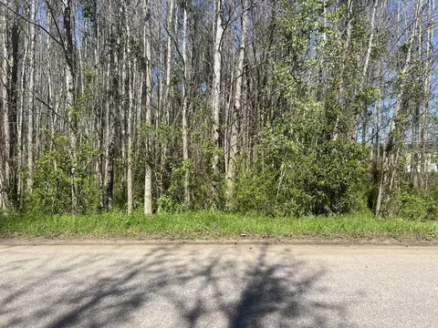0 Mcnair Dr, Summerton, SC 29148
