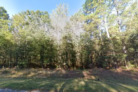 0 Thirty Five Mile Rd, Ridgeville, SC 29472