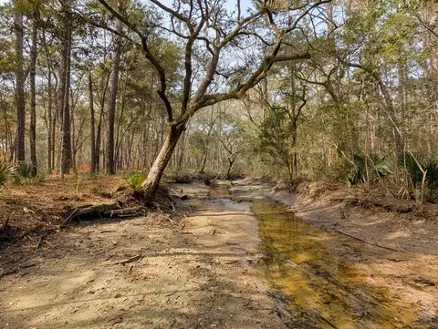 245 Warren Dr, Mcclellanville, SC 29458 photo 7