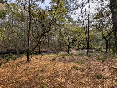245 Warren Dr, Mcclellanville, SC 29458 photo 6