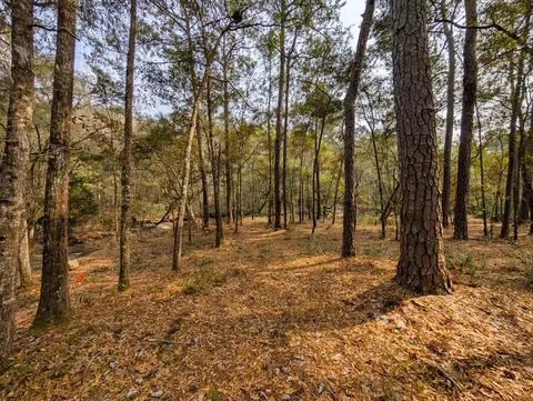 245 Warren Dr, Mcclellanville, SC 29458 photo 5