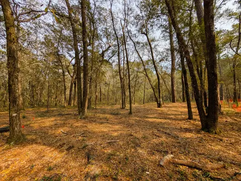 245 Warren Dr, Mcclellanville, SC 29458 photo 4