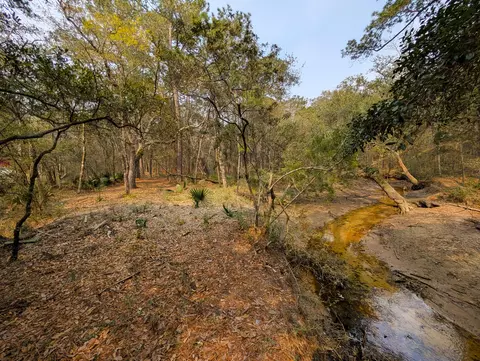 245 Warren Dr, Mcclellanville, SC 29458 photo 11