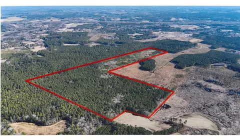 0 Gabes Pl, Reevesville, SC 29471
