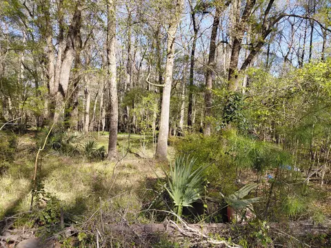 lot2 3 Gator Cv, Ridgeville, SC 29472