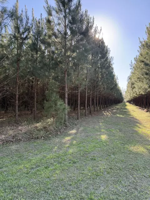 0 Polk Rd, Islandton, SC 29929