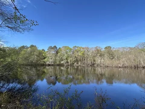 1 Boat Landing Rd, Ridgeville, SC 29472