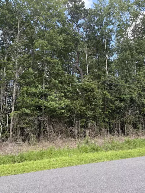 0 University Dr #LOT 222, North Charleston, SC 29418
