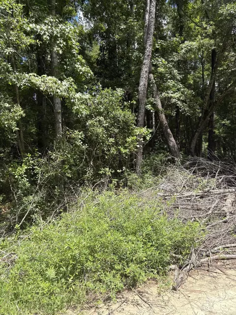 0 University Dr #LOT 223, North Charleston, SC 29418