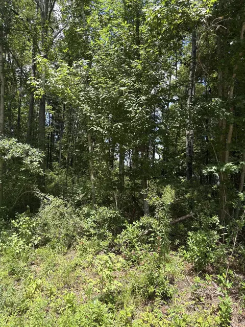 0 University Dr #LOT 224, North Charleston, SC 29418