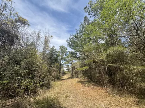 0 Getaway Ln, Pinopolis, SC 29469 photo 6