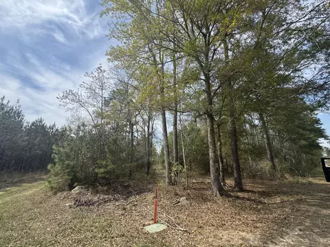 0 Getaway Ln, Pinopolis, SC 29469 photo 10