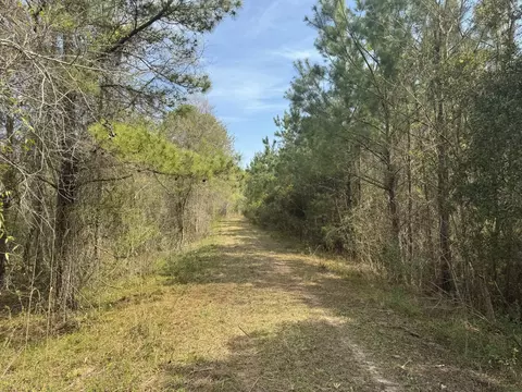 0 Getaway Ln, Pinopolis, SC 29469 photo 7