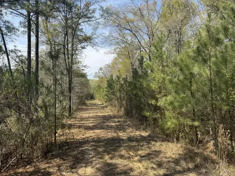 0 Getaway Ln, Pinopolis, SC 29469 photo 3