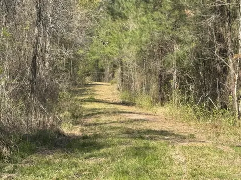 0 Getaway Ln, Pinopolis, SC 29469 photo 4