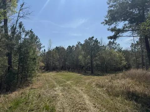 0 Getaway Ln, Pinopolis, SC 29469 photo 5