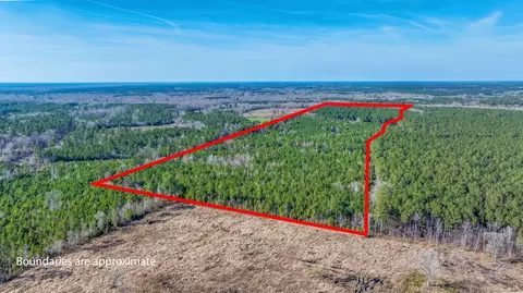 0 Lowcountry Hwy, Ruffin, SC 29475