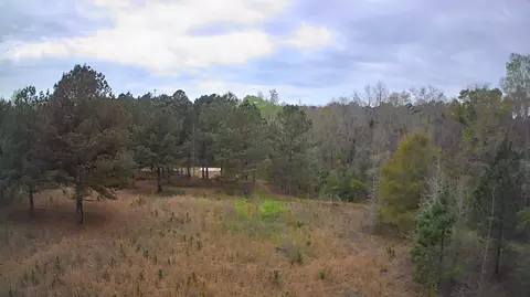 tbd Salcro Lane Interior Parcel Hwy, Smoaks, SC 29481