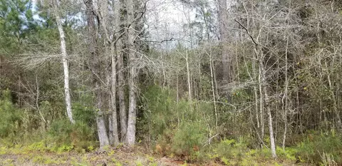 0 Randolph Dr, Smoaks, SC 29481