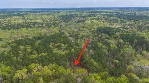 0 Busters Paradise Ln, Cordesville, SC 29434