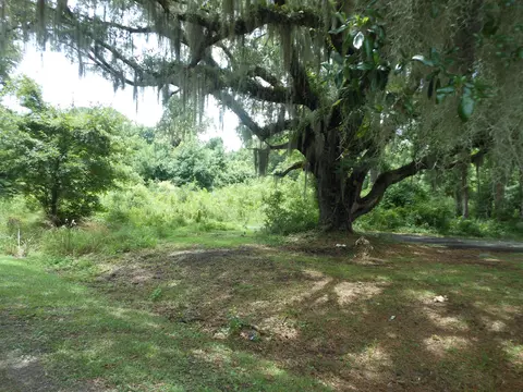 8046 Cedar Hall Rd, Edisto Island, SC 29438