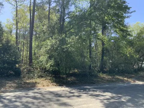 0 Ash Hill Dr, Eutawville, SC 29048