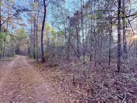 430 Weenee Rd, Jamestown, SC 29453