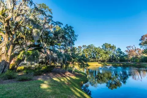 View/Area - 2216 Chatelain Way, Mount Pleasant, SC 29464 photo 1 of 2