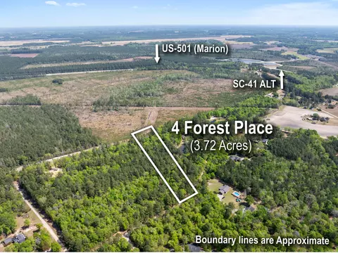 4 Forest Pl, Marion, SC 29571