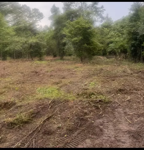 1 Abandon Lane Ln, Summerville, SC 29486