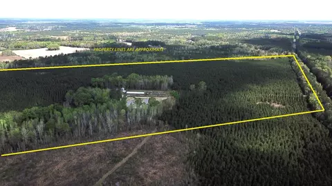 305 Ponderosa Rd, Saint Matthews, SC 29135