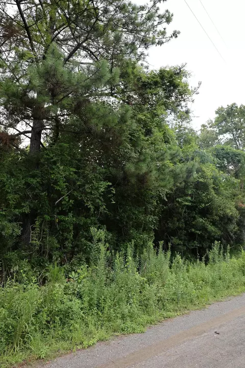 45 Partridge Rd, Kingstree, SC 29556