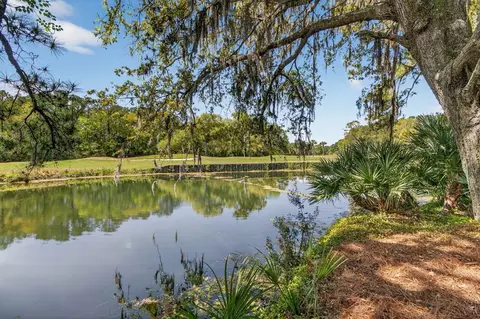 View/Area - 3312 Rees Row, Mount Pleasant, SC 29466 photo 1 of 7