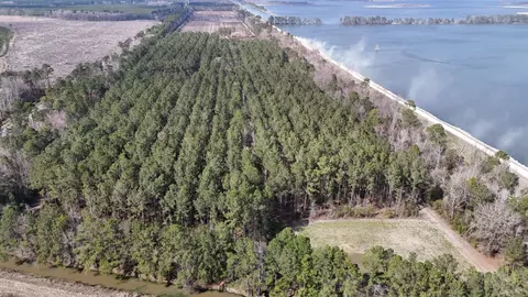 0 Highway 6, Pinopolis, SC 29469