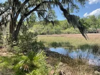 8119 S Loafer Glory Ln, Edisto Island, SC 29438