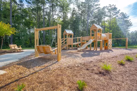 715 Blue Mistflower Dr, Moncks Corner, SC 29461 photo 2