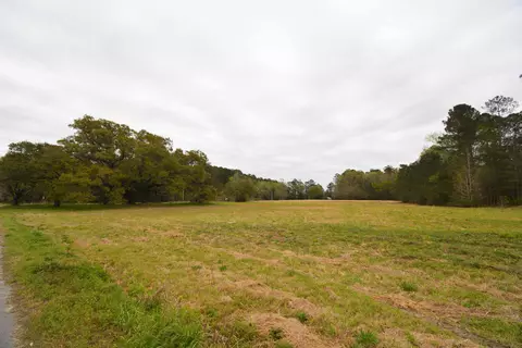 0 Morrisville Rd, Andrews, SC 29510
