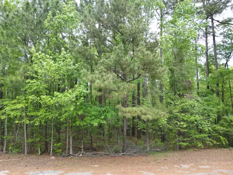 231 Morningside Dr, Saint Matthews, SC 29135
