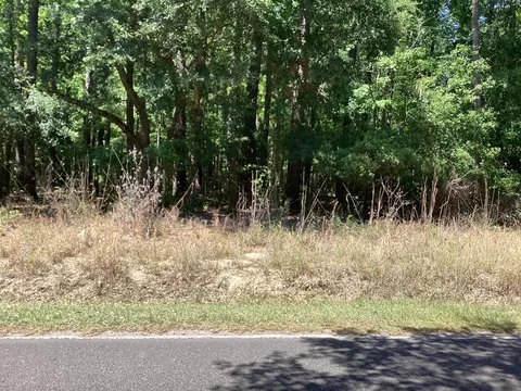 0 Umbria Rd, Moncks Corner, SC 29461 photo 3