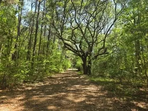 00 Bears Blf #LOT C, Wadmalaw Island, SC 29487