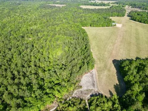 5095 Fellowship Rd, Williston, SC 29853 photo 14