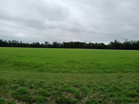 5095 Fellowship Rd, Williston, SC 29853 photo 26